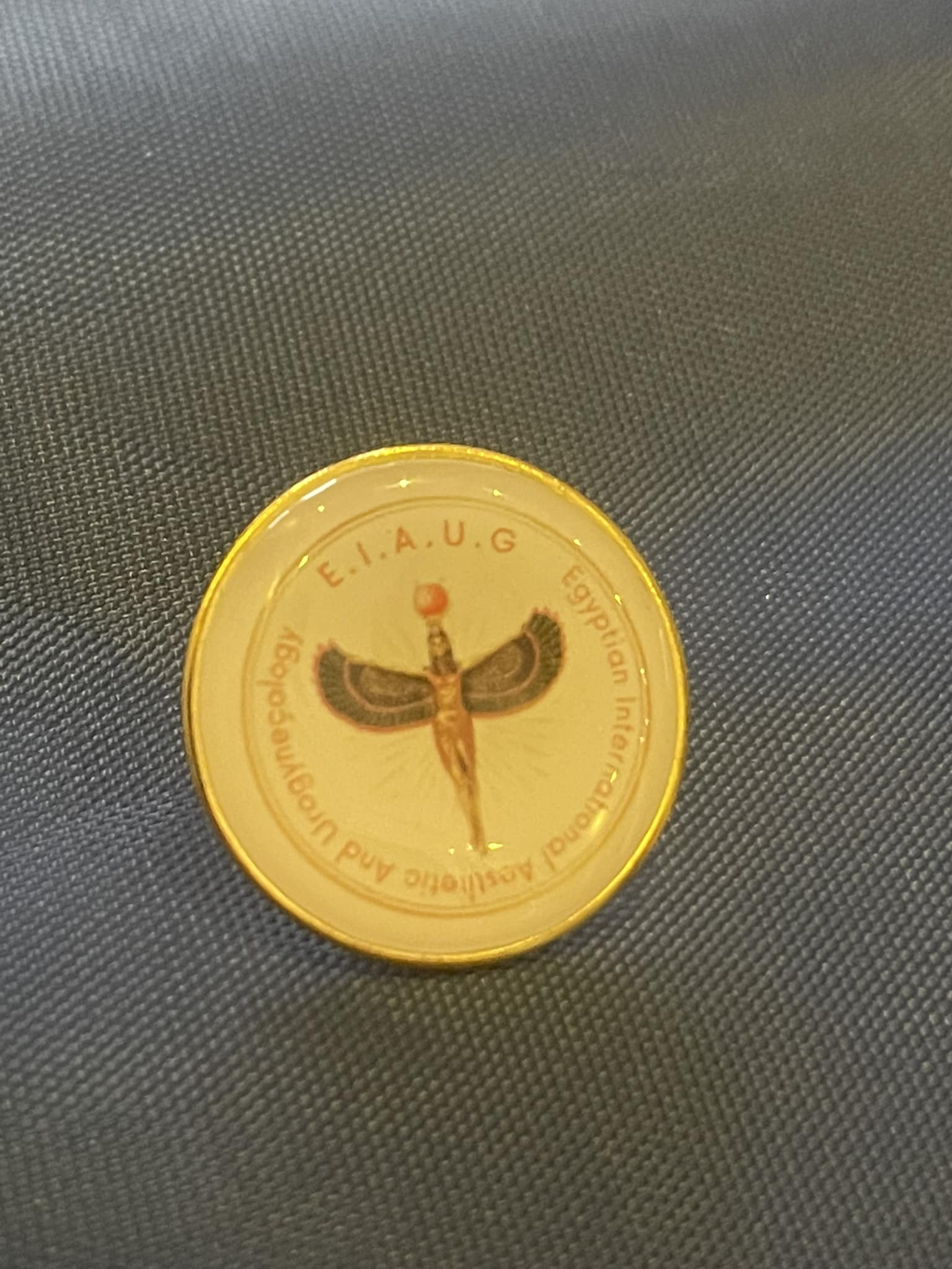 Project gallery image